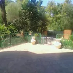 Ginepro Sardegna Mare Blu
