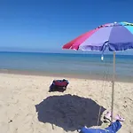 Ginepro Sardegna Mare Blu