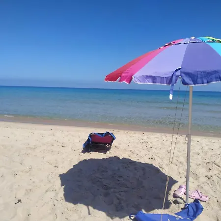 Ginepro Sardegna Mare Blu