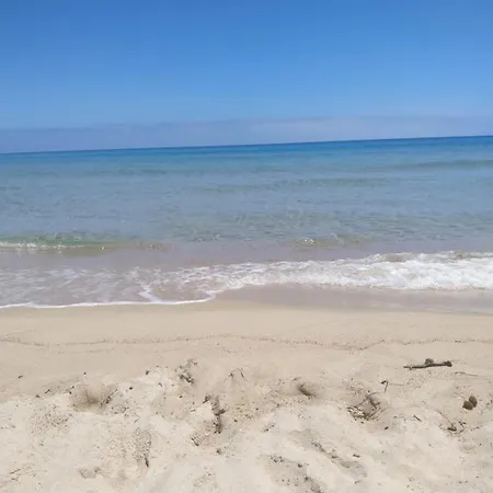 Ginepro Sardegna Mare Blu Santa Margherita di Pula