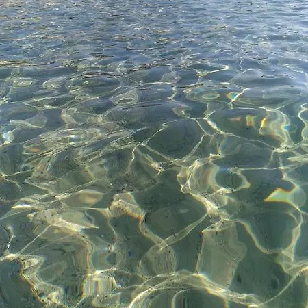 Ginepro Sardegna Mare Blu