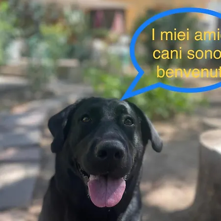 Hébergement de vacances Ginepro Sardegna Mare Blu *
