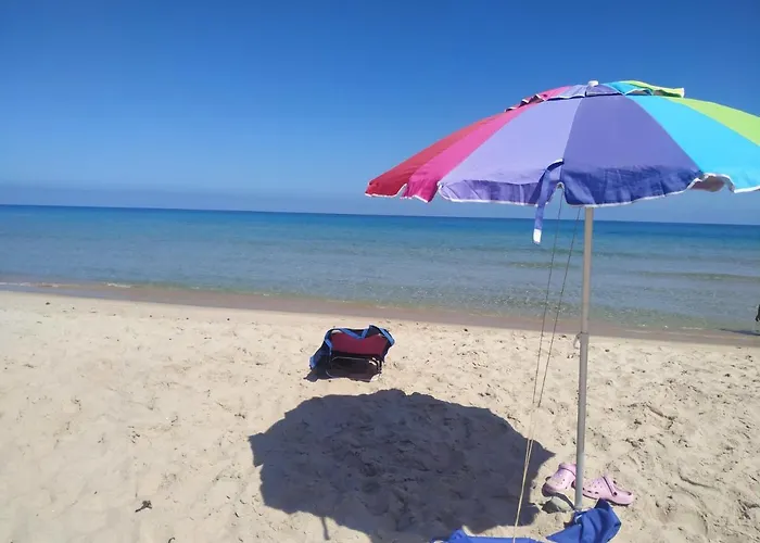 Ginepro Sardegna Mare Blu