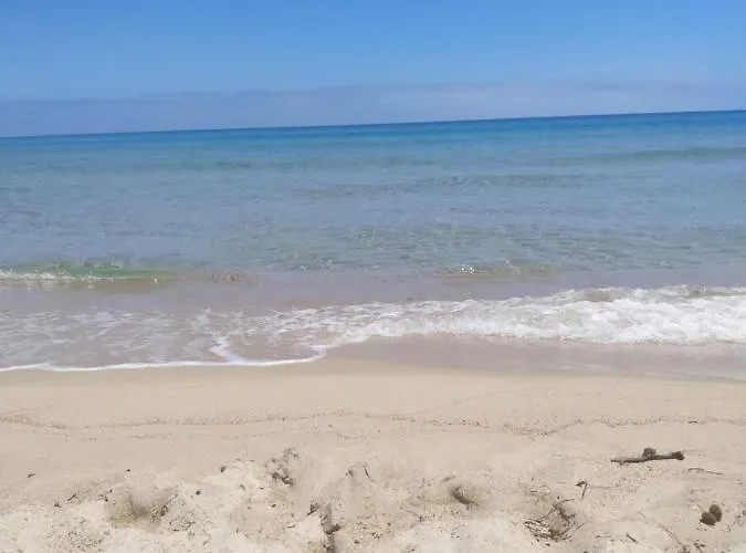 Ginepro Sardegna Mare Blu 福特村