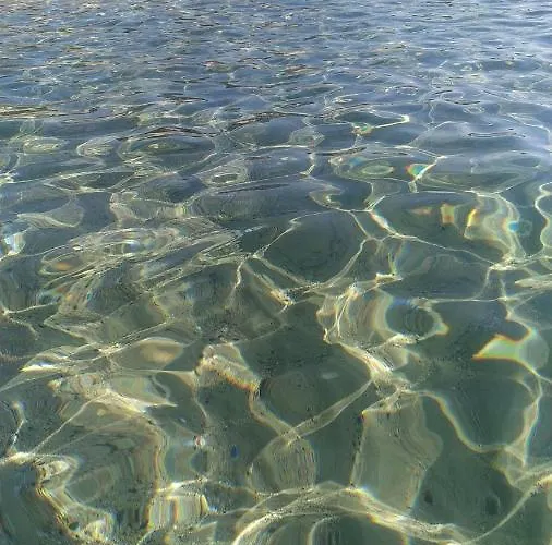 Ginepro Sardegna Mare Blu