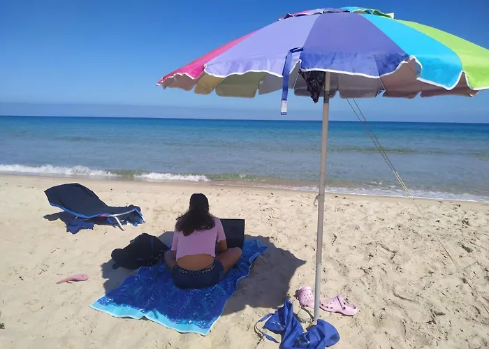 Ginepro Sardegna Mare Blu * 福特村