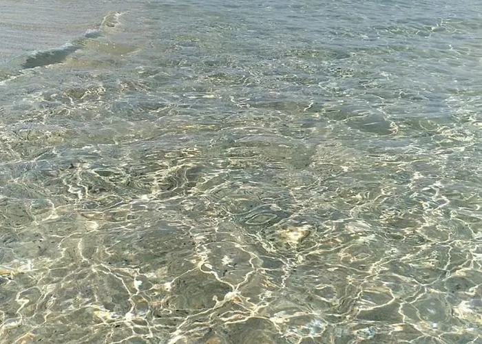 Ginepro Sardegna Mare Blu *
